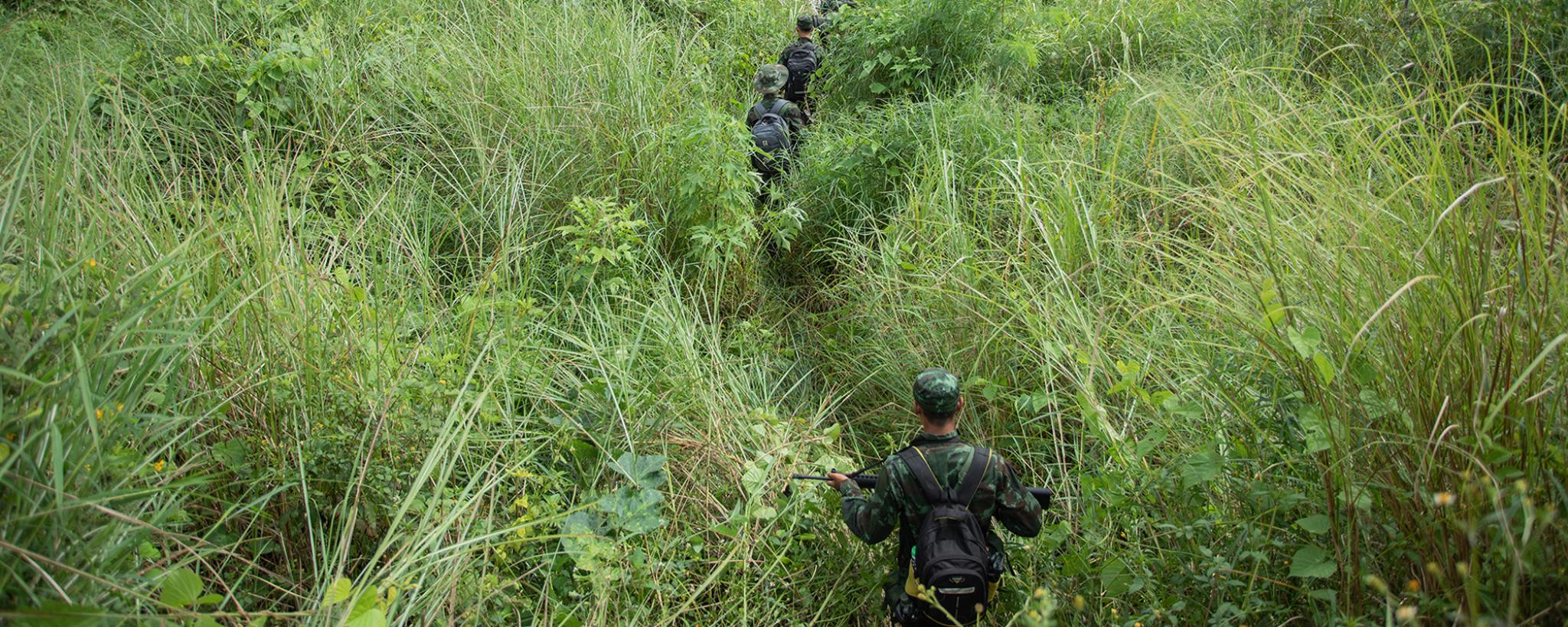 Soldiers in long grass